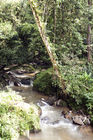 Parit Falls trail
