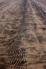 Tracks in the beach at Raglan Harbour