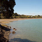 Raglan Harbour