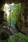 Walkway through the Mangapohue Natural Bridge Scenic Reserve