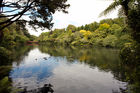 Main Lake and Poet Bridge in Pukekura Park 