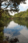Main Lake and Poet Bridge in Pukekura Park 