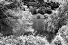 Lake Tutira (infra-red)