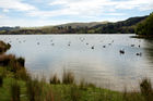 Lake Tutira