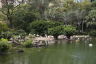 Kowloon Park