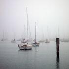 Boats in St. Kilda harbour