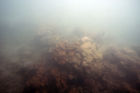 View underwater from a submarine by Green Island