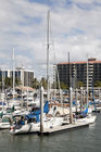 Townsville marina