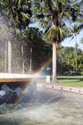 Rainbow at the Memorial Park