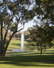 Kings Park and Botanic Garden