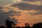 Kruger sunset