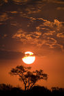 Kruger sunset