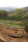 Nile crocodiles at the PheZulu game park