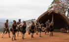 Gasa clan Zulu dancing at the PheZulu safari park