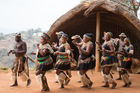 Gasa clan Zulu dancing at the PheZulu safari park