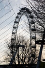 The London Eye