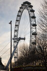 The London Eye
