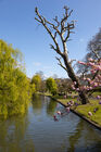 Regent's Park