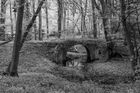Gobions Wood Nature Reserve