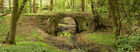 Gobions Wood Nature Reserve