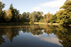 View of lake and trees