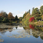 View of lake and house