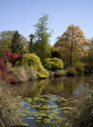 Lake in the botanic gardens