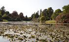View of lake and trees