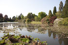 View of lake and trees