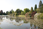 View of lake and trees