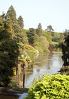View of lake and trees