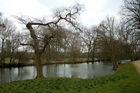Cherwell River in the University Parks