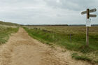 Winterton-Horsey Dunes