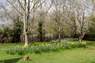 Anne Hathaway's cottage